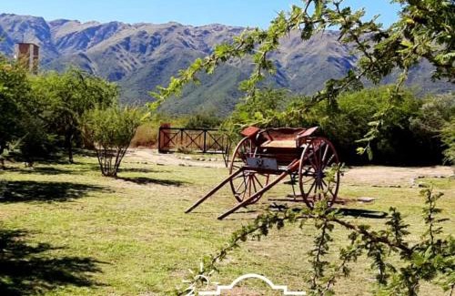 Carpinteria Cabin | Punto Serrano