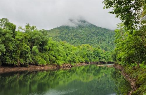 Thong Pha Phum Resort | Puprai Tarnnarm Resort