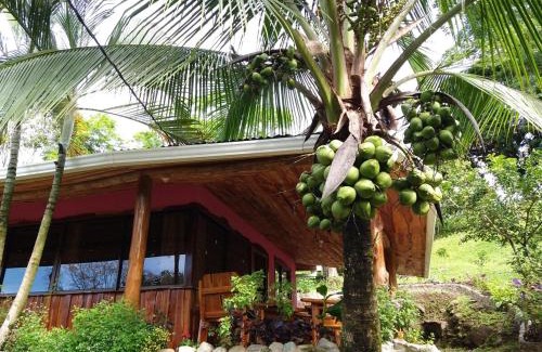 San Lorenzo House | Pura Natura Lodge Arroyo