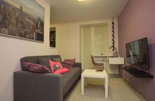 Tsentralny Apartment | Purple Gem In St. Petersburg