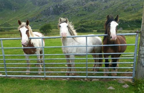 MacGillycuddy's Reeks Villa | Purple Mountain Cottage