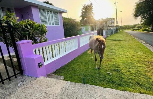 Esperanza House | Purple Sunset - Walk to Malecon & Beaches