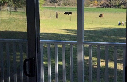 Saumarez Ponds Cabin | Purpose Built Farm Stay Cottage