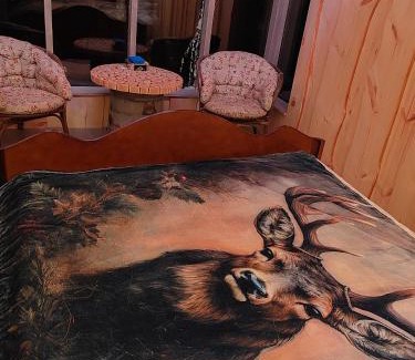 Merikarvia Other | Puumajamajoitus maaseudulla