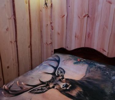 Merikarvia Other | Puumajamajoitus maaseudulla