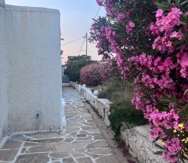 Naxos Apartment | Pyrgaki hideway