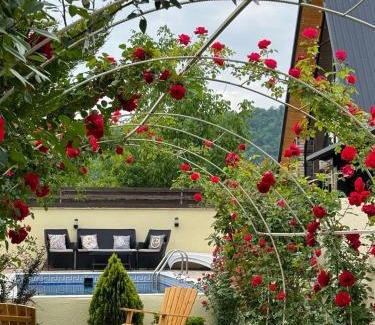 Gabala Ski Chalet | Qafqaz Gabala Twin A Frame Villas