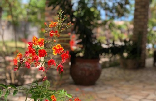 Pipa Ski Chalet | Qavi - Chalé Rústico na Rua Principal #PortodoSol