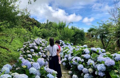 Jinfeng House | Qingshan Homestay