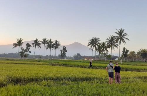 Kecamatan Sikur House | Qiya Rise Terrace Homestay