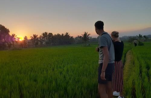 Kecamatan Sikur House | Qiya Rise Terrace Homestay