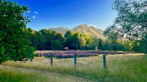 Brightwater Bed & Breakfast | Quail Farm, Colonial charm