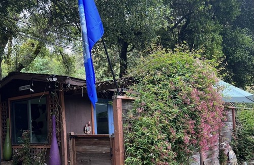 Soquel Cabin | Quaint Cabin in the Santa Cruz Mountains