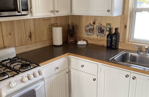 Carp Lake Cottage | Quaint Cottage with a Private Dock on Paradise Lake