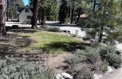 Tahoe Island Cabin | Quaint Cozy Cabin in Beautiful South Lake Tahoe Located Near The Lake and Trails