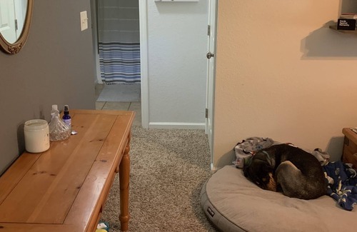 Rapid City House | Quaint house with enough room for the two & four legged pals exploring the Hills