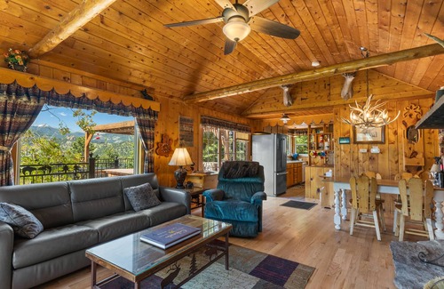 Estes Park Cabin | Quaint Mountain Cabin with Amazing Views- Approval # 20-NCC0050