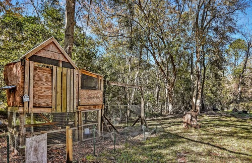 Westside House | Quaint, private stay with a large yard, private washer/dryer - snowbird friendly