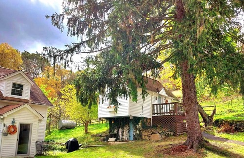 Moatsville Apartment | Quaint writer's nook on the river amongst Appalachian tranquility. Pet friendly!