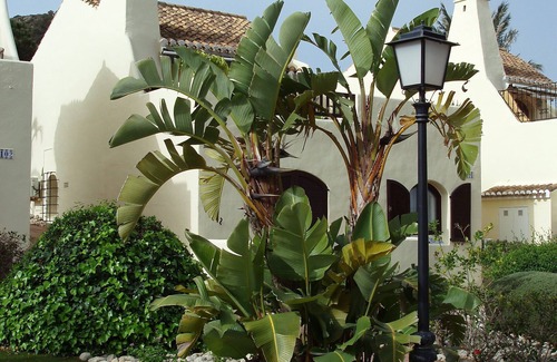 Diputacion de Rincon de San Gines Villa | Quality, detached, modern yet comfortable villa set amongst stunning garden