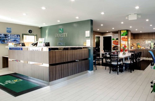 Hayward Hotel | Quality Inn Hayward