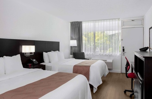 Palmetto Bay Hotel | Quality Inn Miami South