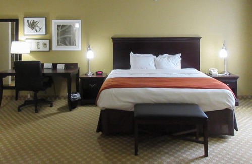 Alexandria Hotel | Quality Inn & Suites Alexandria
