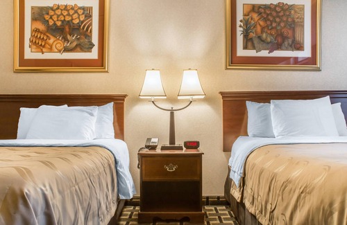 Batavia Hotel | Quality Inn & Suites Palm Island Indoor Waterpark