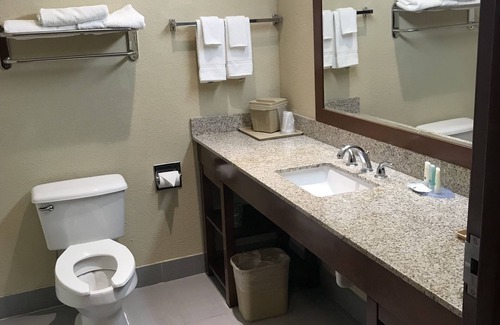 Terrell Hotel | Quality Inn & Suites Terrell