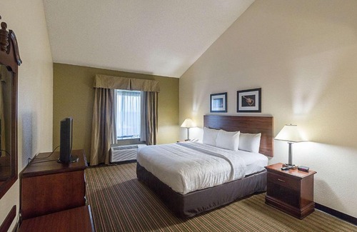 Westchase Hotel | Quality Inn & Suites West Chase