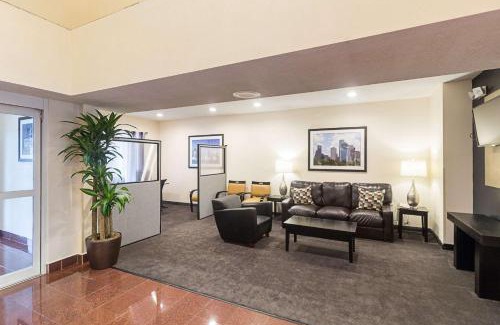 Westchase Hotel | Quality Inn & Suites West Chase