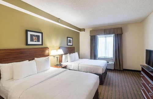 Westchase Hotel | Quality Inn & Suites West Chase