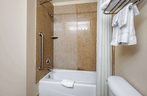 Smyrna Hotel | Quality Inn