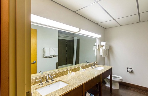Lubbock Hotel | Quality Suites