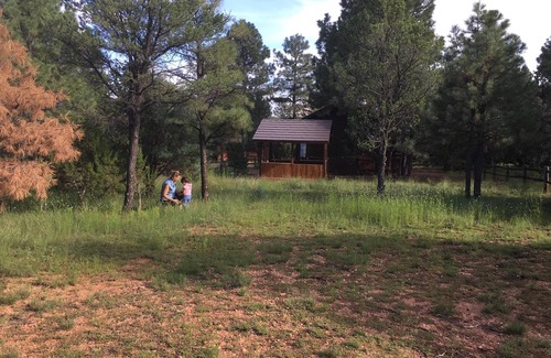Heber Cabin | Quality Time at a LilyBear Cabin