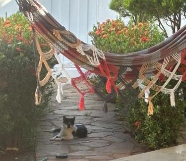 Plano Diretor Sul House | Quarto Centro de Palmas ao lado da JK