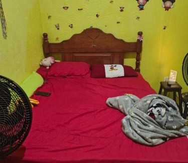 Telegrafo Other | Quarto para cop 30 próximo a doca de Souza franco