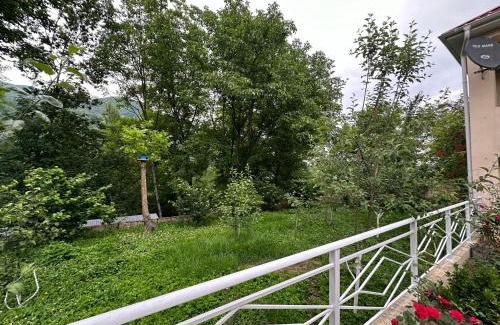 Azerbaijan Ski Chalet | Quba Dağ Mənzərəli Bağ Evi Quba Mountain View Garden House