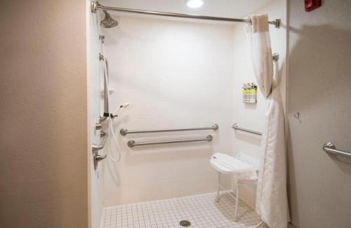 Jackson Apartment | Queen Bed Hotel Suite 244