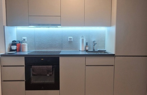 St. Gallen Apartment | Queen-size bed, top-equipped workplace, free parking space