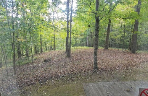 Mauckport Cabin | Quiet and Cozy Cabin in the woods!