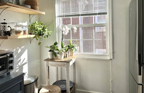Mount Airy Apartment | Quiet and Cozy flat close to downtown