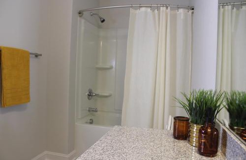 Greenville Apartment | Quiet and Luxury Apartment - 10 minutes from ECU