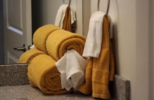 Greenville Apartment | Quiet and Luxury Apartment - 10 minutes from ECU