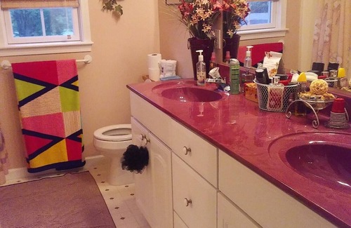 Adrian Bed & Breakfast | Quiet and Spacious, in Tranquil Neighborhood private rm