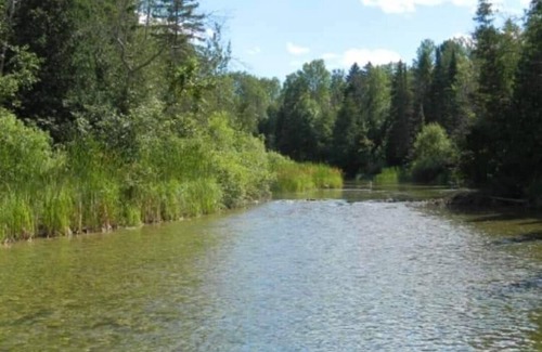 Hubbard Lake House | Quiet Cabin on the Thunder Bay River