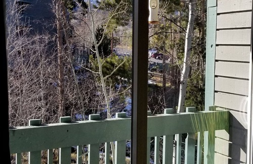 Wildernest Condo | Quiet condo in the middle of ski country! Pool, hot tub, game room!