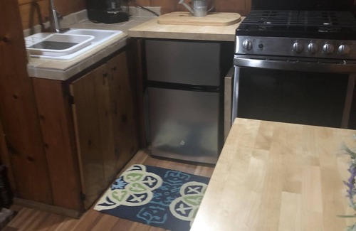 Gaylord Cabin | Quiet Corey Cove One Bedroom Cabin With Otsego Lake Views, Close to Skiing