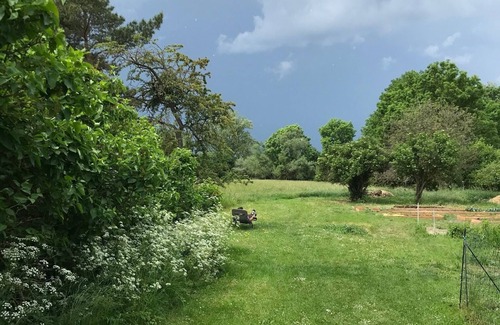 Wedderstedt Apartment | Quiet country house one-bedroom apartment with 9000 sqm garden