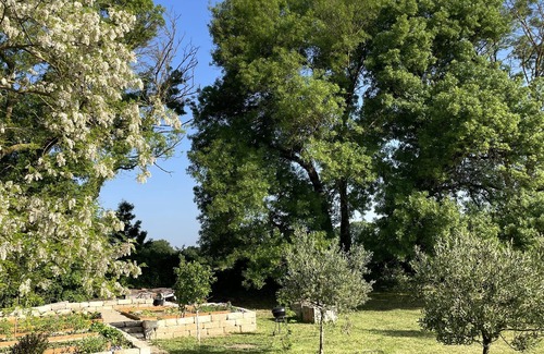 Fabregues House | Quiet farmhouse in the heart of nature
